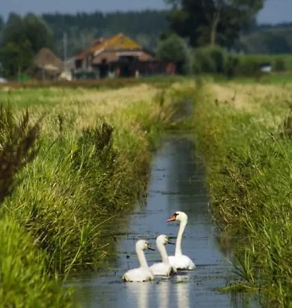 Appartement Polder Oasis