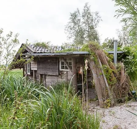 Polder Oasis *